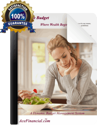 Wise Budget Ace Financial